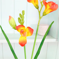 Freesia Spray