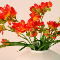 Freesia Spray