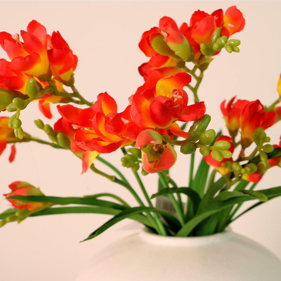 Freesia Spray