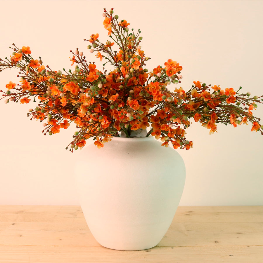Waxflower Chamelaucium Spray