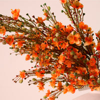Waxflower Chamelaucium Spray