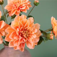 Real Touch Waterlily Dahlia Stem