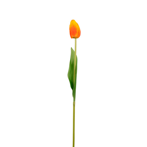 Real Touch Tulip Stem