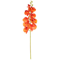 9 Head Orchid Stem