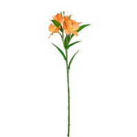 Speckled Alstroemeria Stem