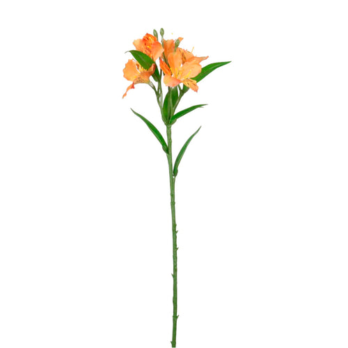 Speckled Alstroemeria Stem