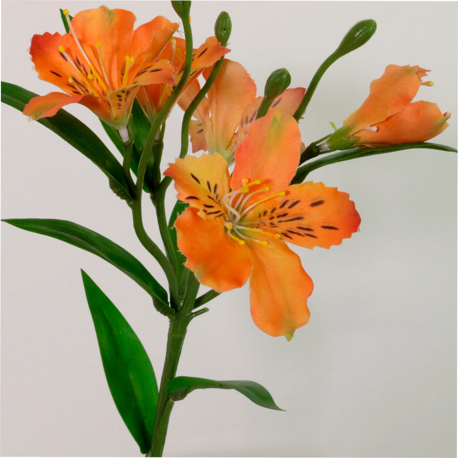 Speckled Alstroemeria Stem