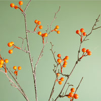 Seasonal Large Bud Berry Spray