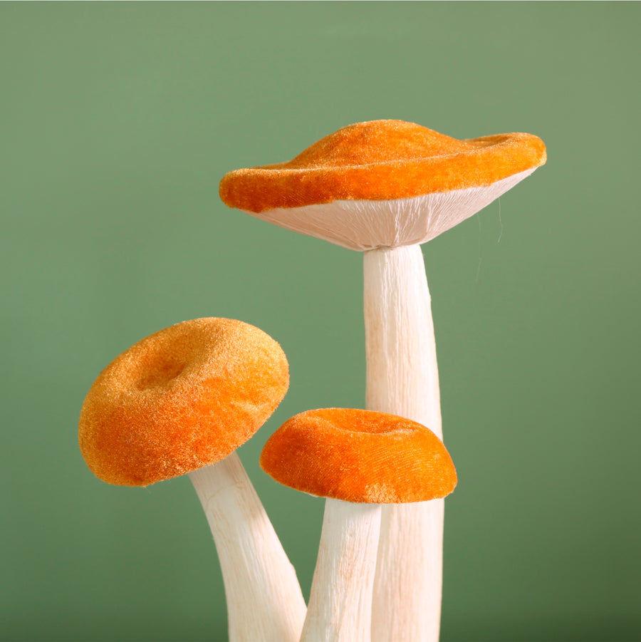 Velvet Standing Mushroom Trio