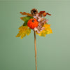 Autumn Fall Pumpkin Mix Pic (38cm)