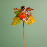 Autumn Fall Pumpkin Mix Pic (38cm)