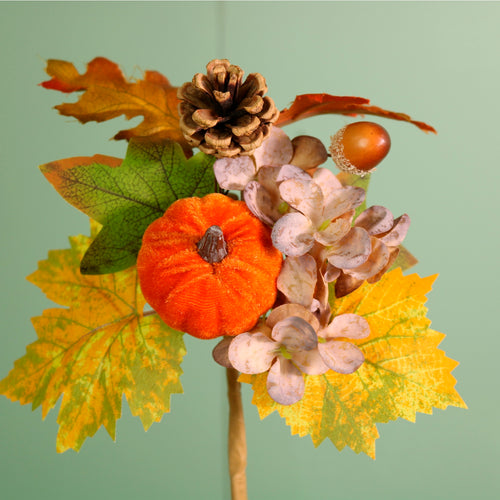Autumn Fall Pumpkin Mix Pic (38cm)