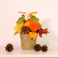 Autumn Fall Pumpkin Mix Woven Basket Arrangement (25cm)
