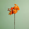 Autumn Harvest Pumpkin Mix Pic (41cm)