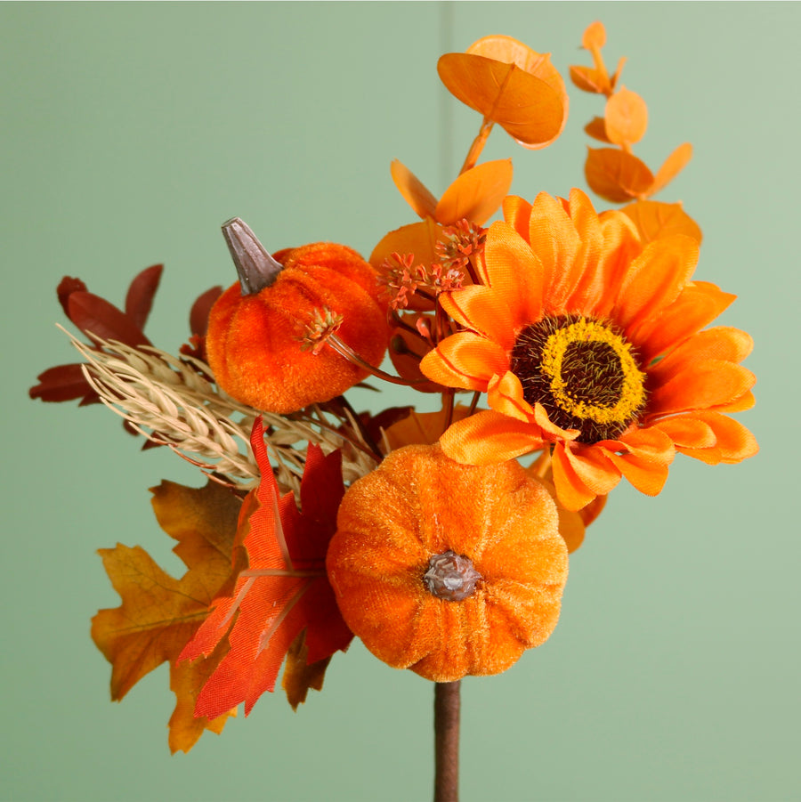 Autumn Harvest Pumpkin Mix Pic (41cm)
