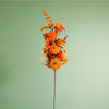 Autumn Harvest Pumpkin Mix Pic (77cm)