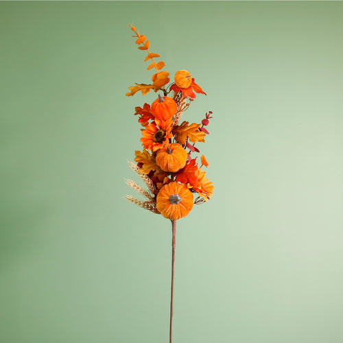 Autumn Harvest Pumpkin Mix Pic (77cm)