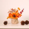 Autumn Harvest Pumpkin Mix Hessian Arrangement (19cm)