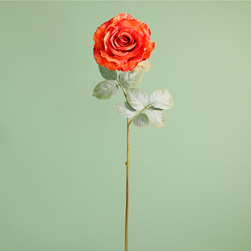 Textured Botanical Stem No.7