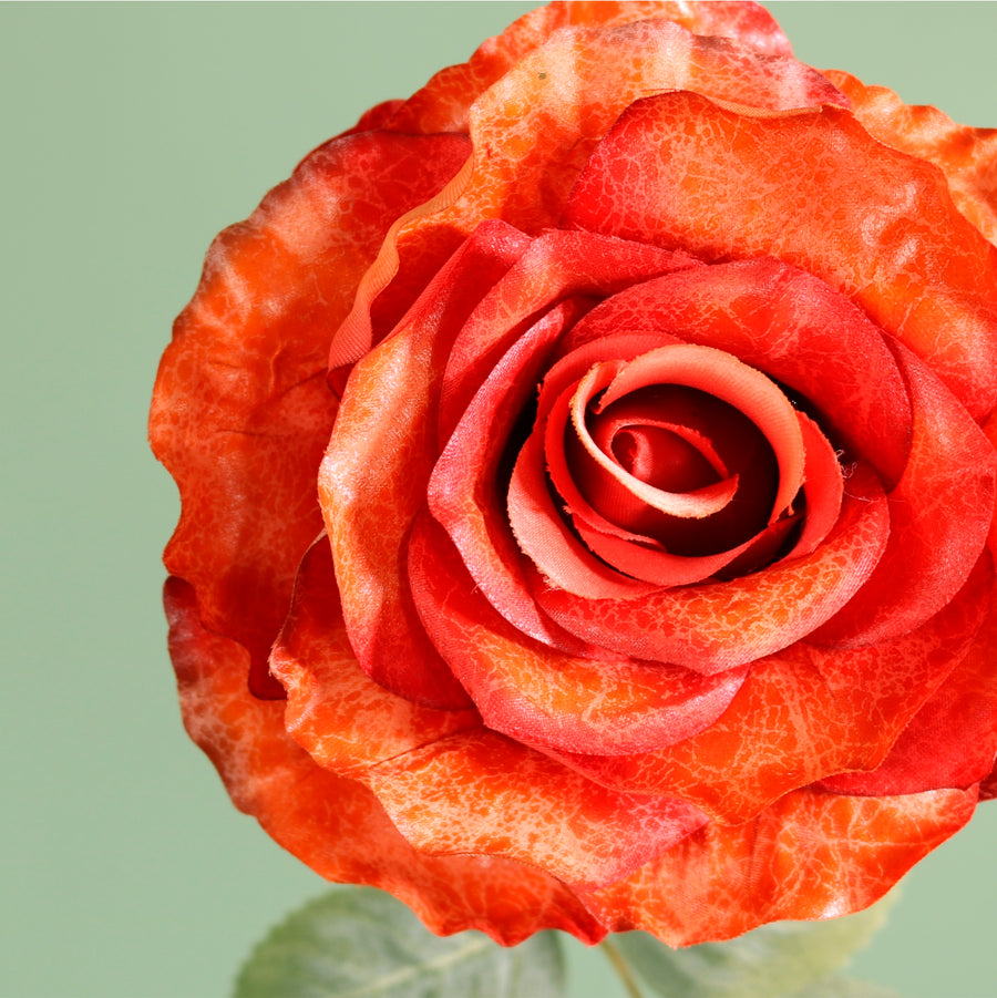 Textured Botanical Stem No.7