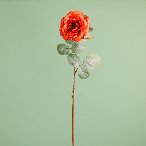 Textured Botanical Stem No.9