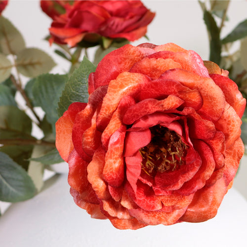 Textured Botanical Stem No.9