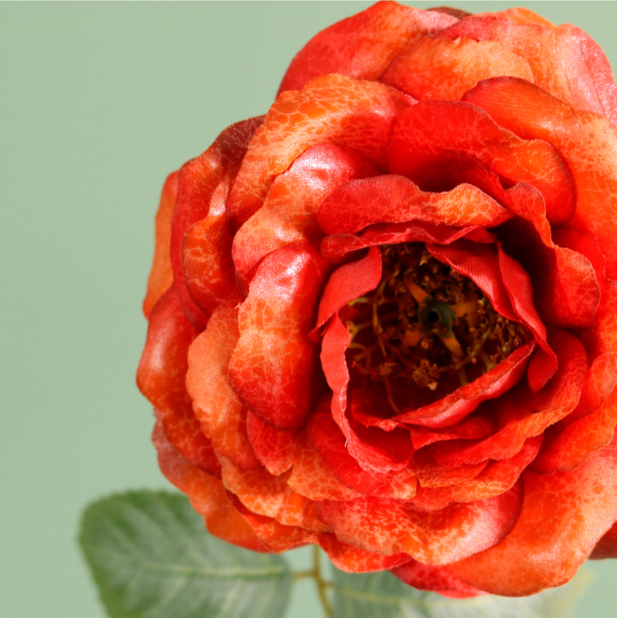 Textured Botanical Stem No.9