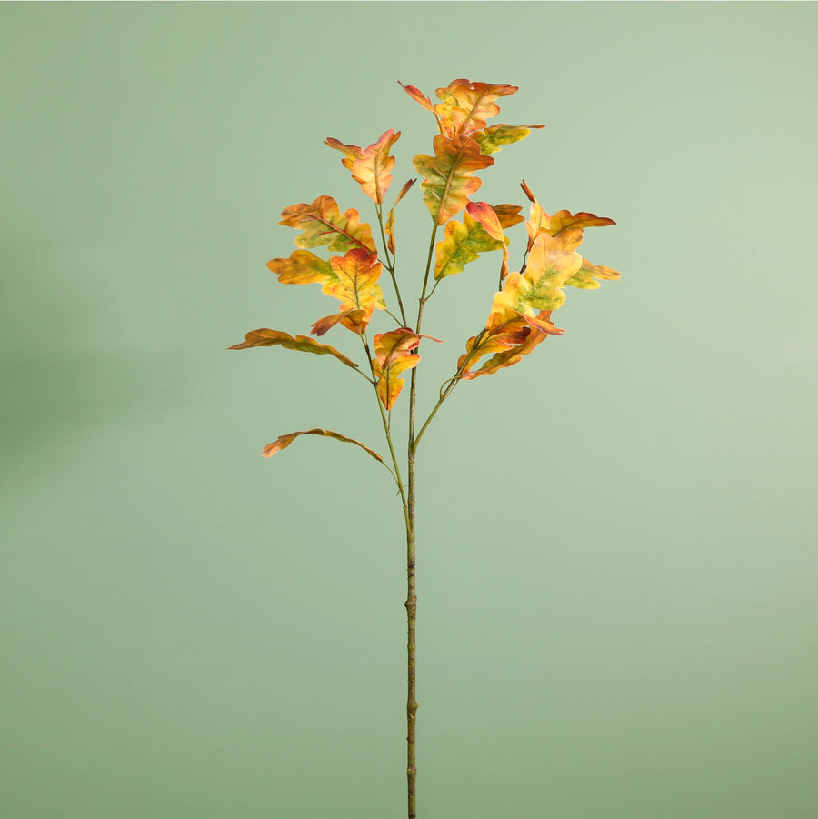 Printed Autumn Oak Leaf Spray