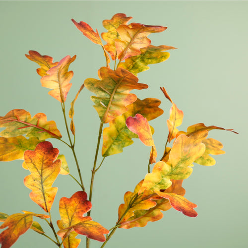 Printed Autumn Oak Leaf Spray