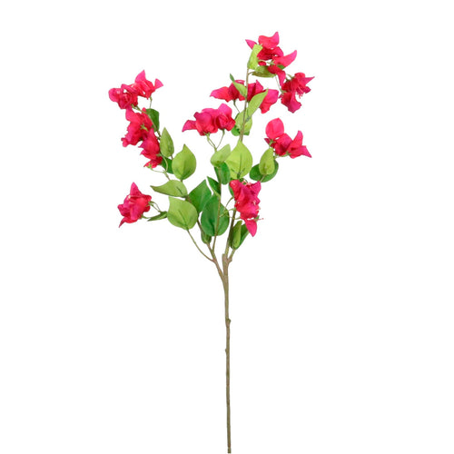 Ritzy Bougainvillea Spray