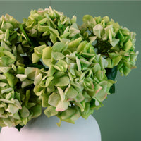 Real Touch Garden Hydrangea Stem