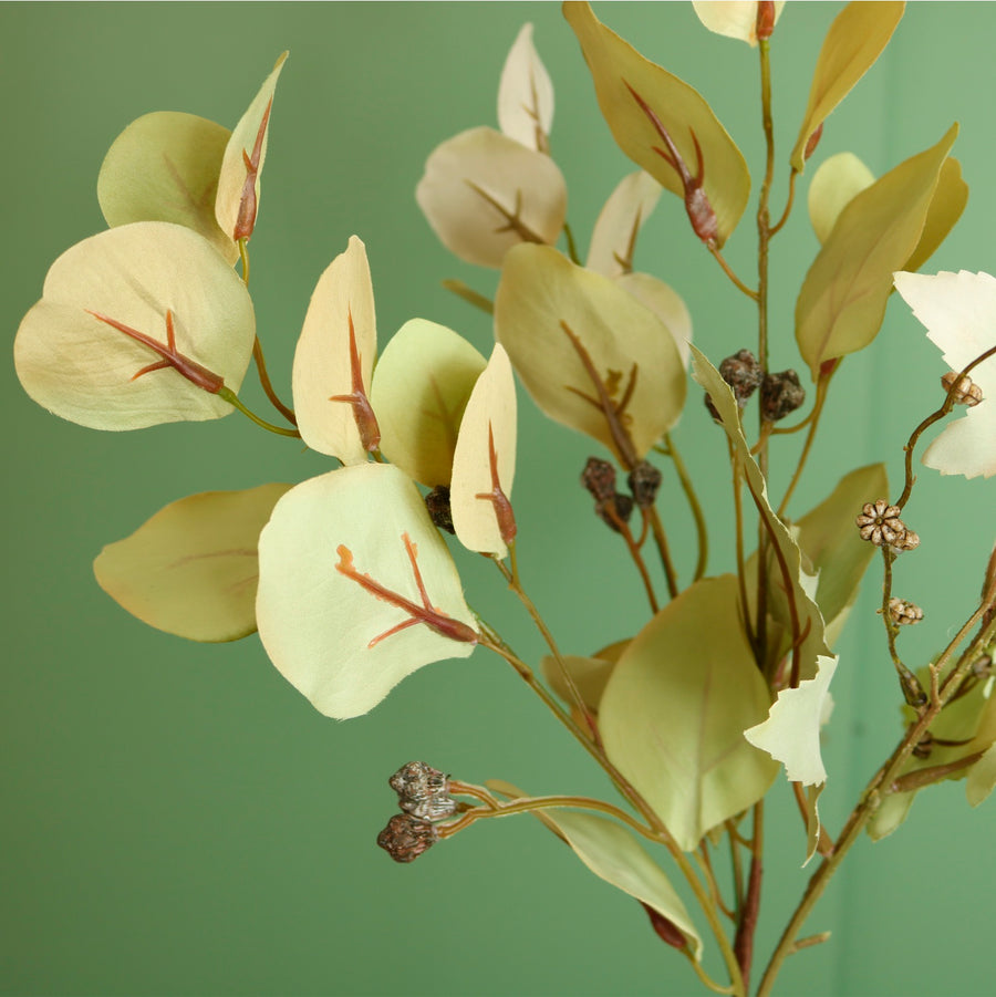 Seasonal Autumnal Eucalyptus Spray