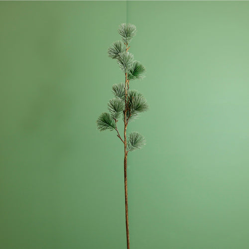 Premium Rounded Cedar Pine Stem