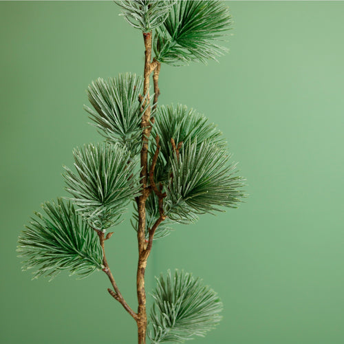 Premium Rounded Cedar Pine Stem