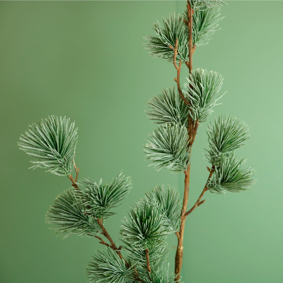 Premium Rounded Cedar Pine Spray