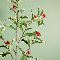 Winter Holly Spray Large