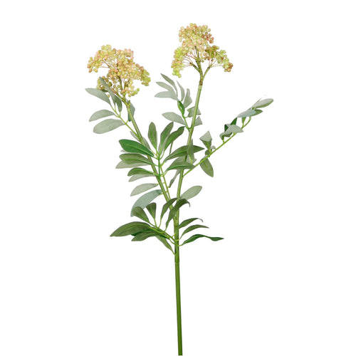 Dusted Elderberry Spray