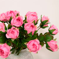 Sabrina Rose Bunch (9 Stems Per Bunch)