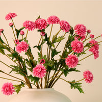Ruffled Chrysanthemum Spray Handtied