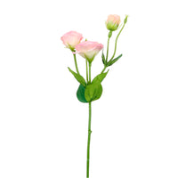 Frilly Lisianthus Spray Small