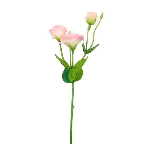 Frilly Lisianthus Spray Small