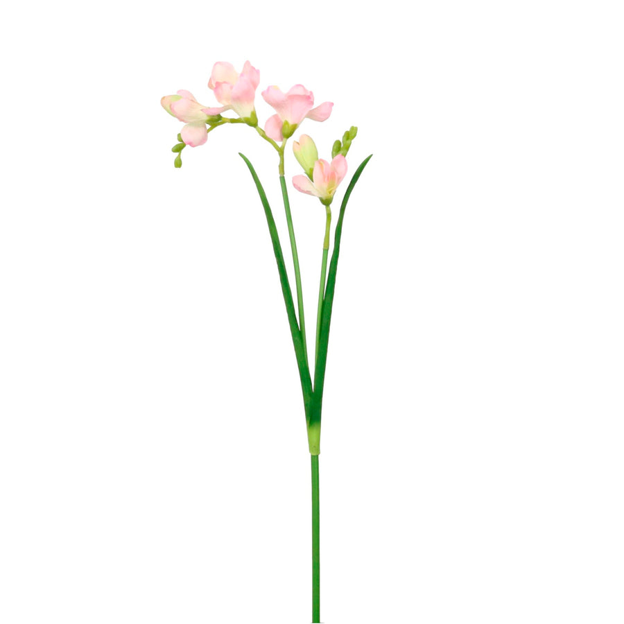 Freesia Spray