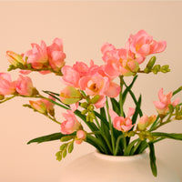 Freesia Spray