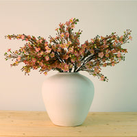 Waxflower Chamelaucium Spray