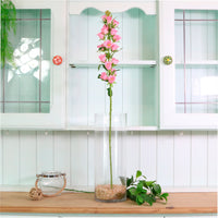 Campanula Bell Flower Stem