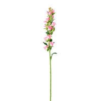 Campanula Bell Flower Stem