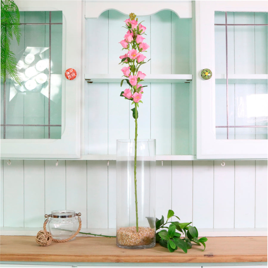 Campanula Bell Flower Stem