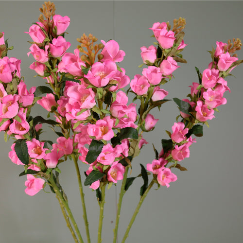 Campanula Bell Flower Stem