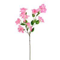 Ritzy Bougainvillea Spray