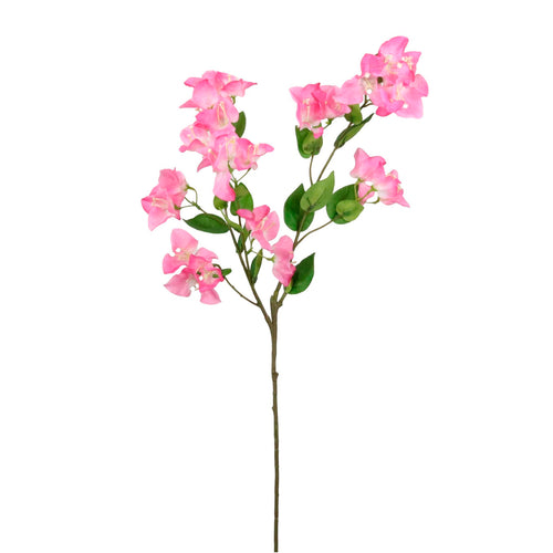 Ritzy Bougainvillea Spray